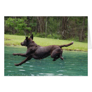 Saut volant !