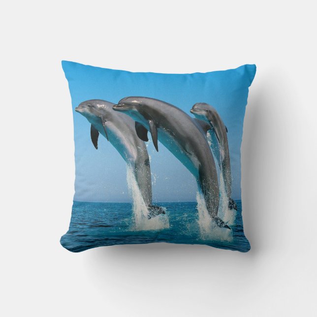 SAUTER DE DAUPHINS DU COUSSIN DE COUSSIN DE L'EAU (Recto)