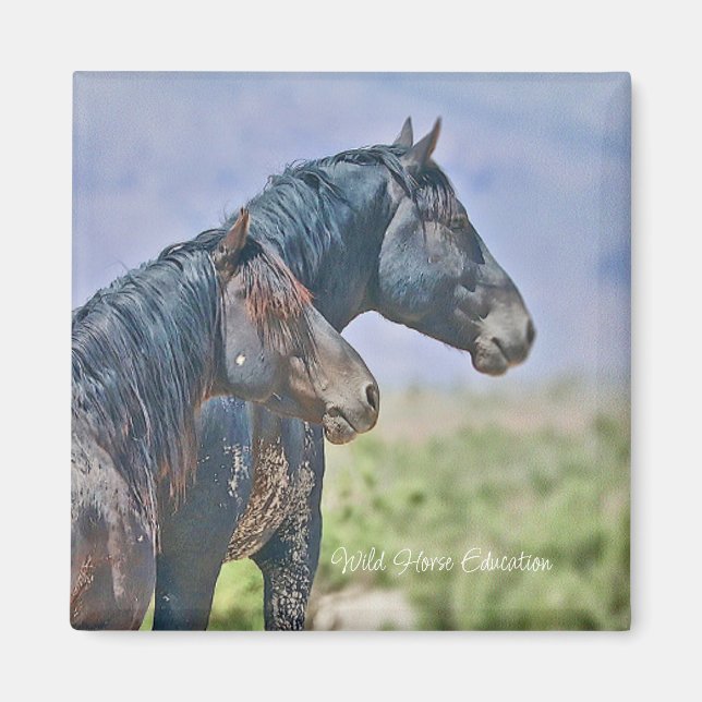 Sauvage et libre, Magnet (Devant)