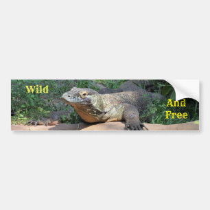 Sauvage et libre Sticker de pare-chocs du dragon d