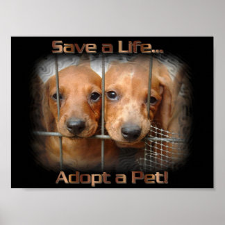 Sauver une vie Adopter une affiche pour animal de