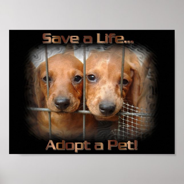 Sauver une vie Adopter une affiche pour animal de  (Devant)