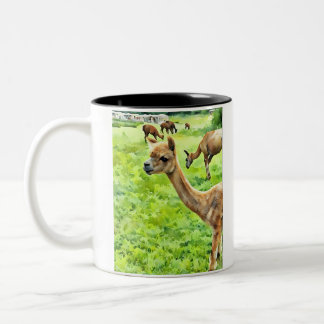 Sauvez le drame pour votre Llama Mug