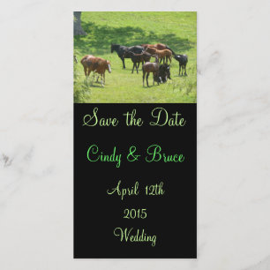 Sauvez les cartes photos de date