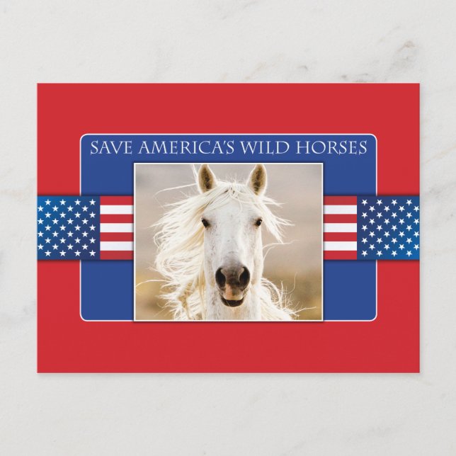Sauvez les cartes postales américaines des Chevaux (Devant)