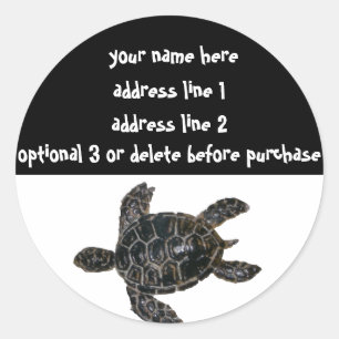Sauvez les Étiquettes de adresse des tortues