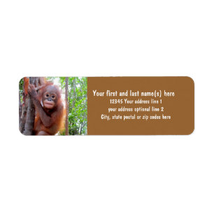 Sauvez les orangs-outans avec le bébé Uttuh