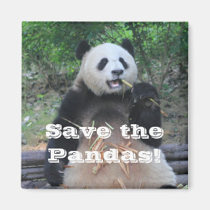 Sauvez les pandas géants Magnet