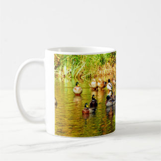 Sauvez notre tasse migratrice d'oiseaux aquatiques