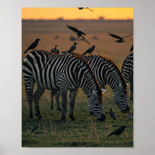 Savanna Stripes Stillness Poster