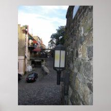 Savannah back street