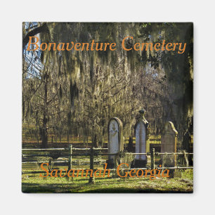 Savannah Bonaventure  magnet