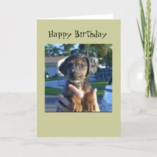 Savannah Card