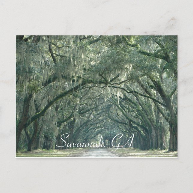 Savannah, carte postale GA (Devant)