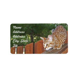 Savannah Cat Address Sticker