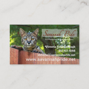 Savannah Cat Business Card
