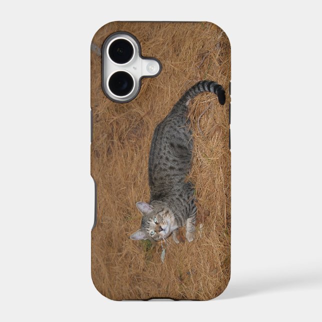 Savannah Cat iPhone 5 (Back)