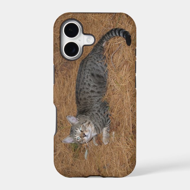 Savannah Cat  iPhone 5 (Back)