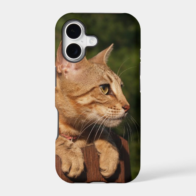 Savannah Cat iPhone 5 (Back)