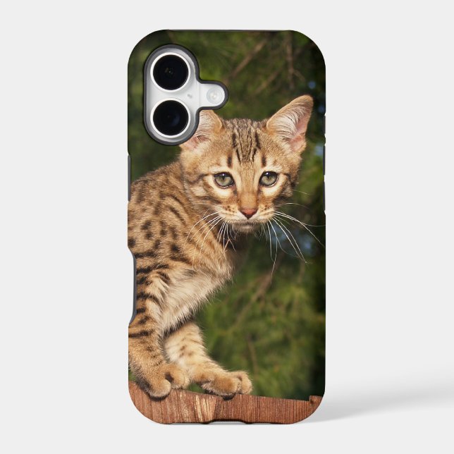 Savannah Cat  iPhone 5 Case-Mate Barely There (Back)