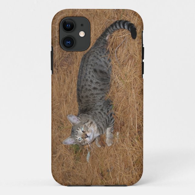 Savannah Cat  iPhone 5 Case-Mate iPhone Case (Back)