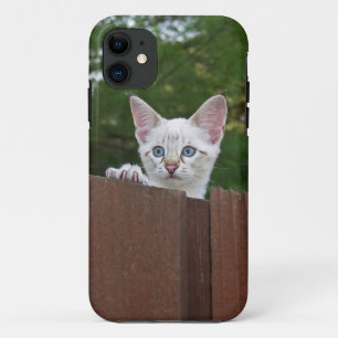 Savannah Cat iPhone 5 11 Case