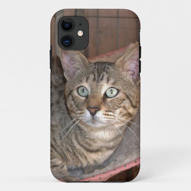 Savannah Cat iPhone 5 Case-Mate iPhone Case (Back)