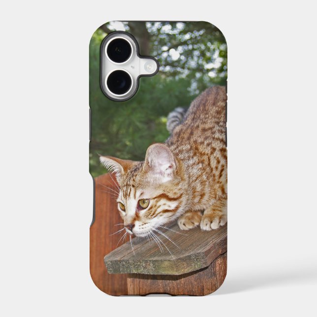 Savannah Cat iPhone 5 Custom Case-Mate ID (Back)