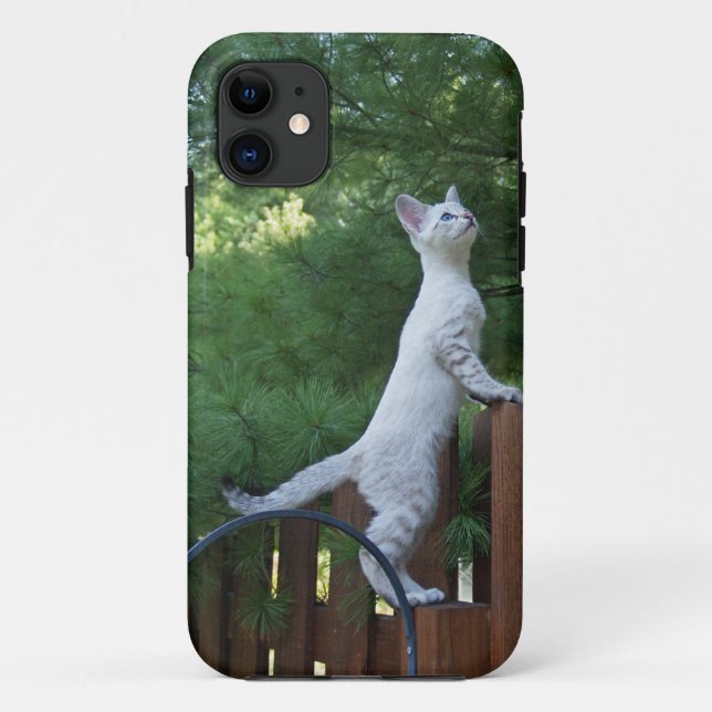 Savannah Cat iPhone 5 Custom Case-Mate ID Case-Mate iPhone Case (Back)