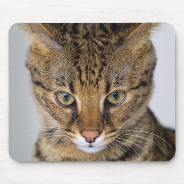 Savannah Cat Mouse Pad (Front)