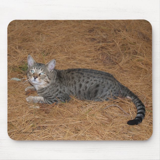 Savannah Cat Mousepad (Front)
