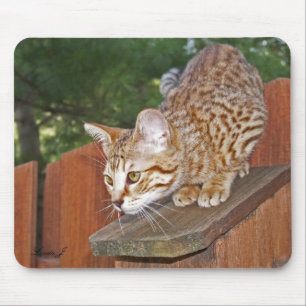 Savannah Cat Mousepad