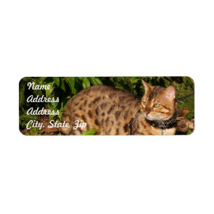 Savannah Cat Return Address Sticker