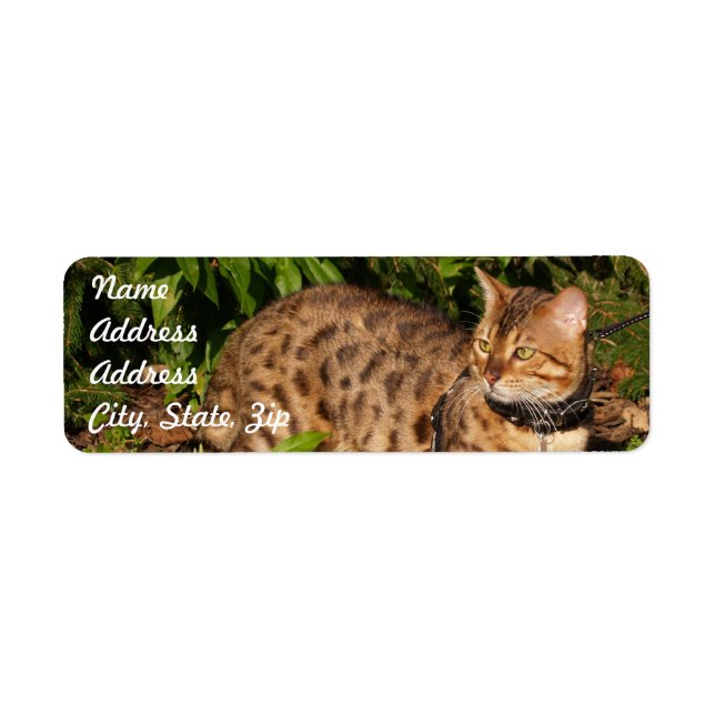 Savannah Cat Return Address Sticker (Front)