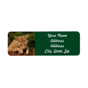 Savannah Cat Return Address Sticker