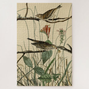 Savannah Finch (Sparrow) Audubon Birds of America Jigsaw Puzzle