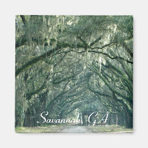 Savannah, GA Magnet