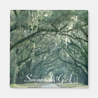 Savannah, GA Magnet