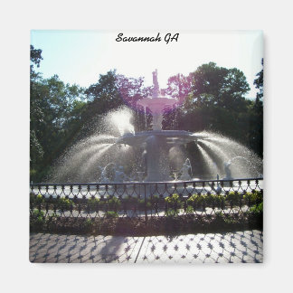 Savannah GA Magnet
