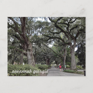savannah georgia dans la carte postale du parc