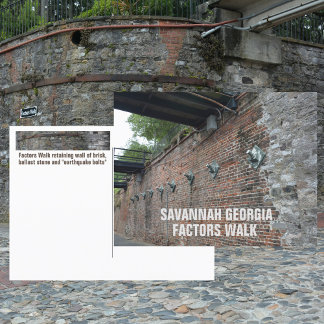 Savannah Georgia Factors Walk Photographic Postcard