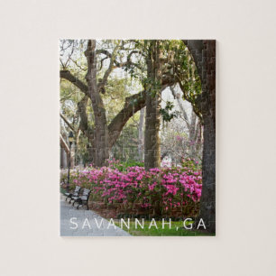 Savannah Georgia Forsyth Park Spring Azaleas Jigsaw Puzzle