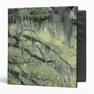 Savannah, Georgia, Live Oak tree draped with Binder