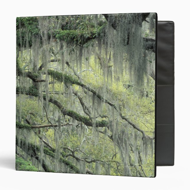 Savannah, Georgia, Live Oak tree draped with Binder (Front/Inside)