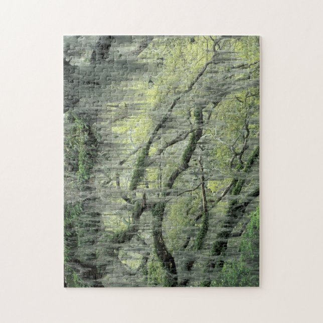 Savannah, Georgia, Live Oak tree draped with Jigsaw Puzzle (Vertical)