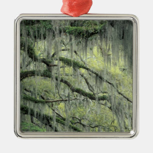 Savannah, Georgia, Live Oak tree draped with Metal Ornament