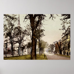 Savannah, Georgia Oglethorpe Avenue Poster