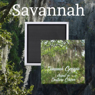 Savannah Georgia Spanish Moss draped Live Oaks Magnet
