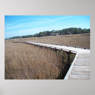 Savannah Georgia Tybee Island Path Trail Poster GA
