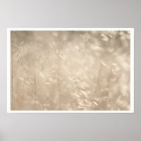 Savannah Golden Grass A3 Poster